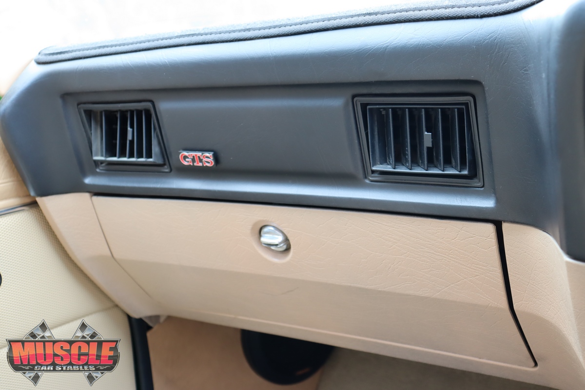 HZ GTS Radio Blank Plate - HQ Style GTS Logo